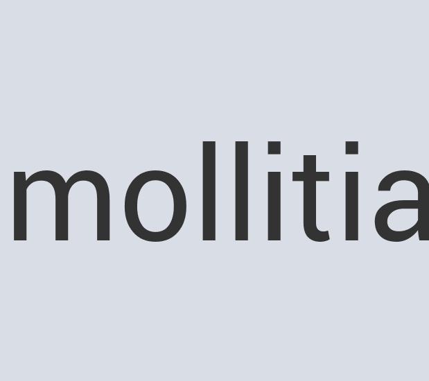 Sleek Rubber AppyTown